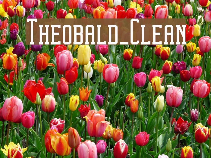 Theobald_Clean Font examples