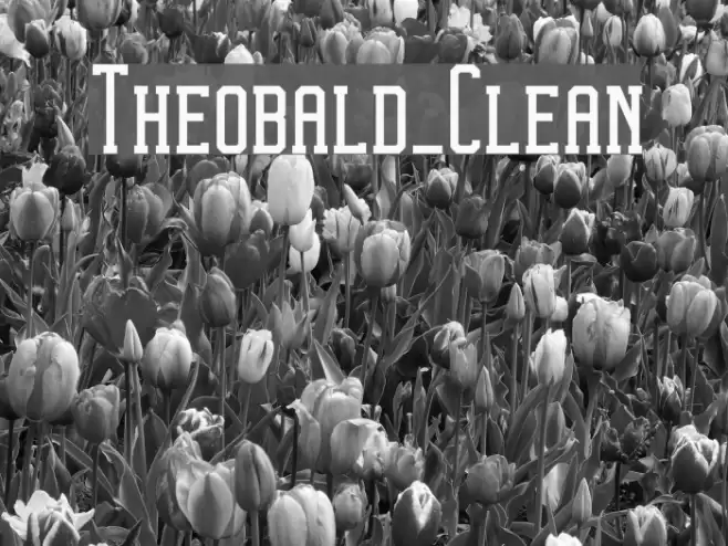Theobald_Clean Font examples