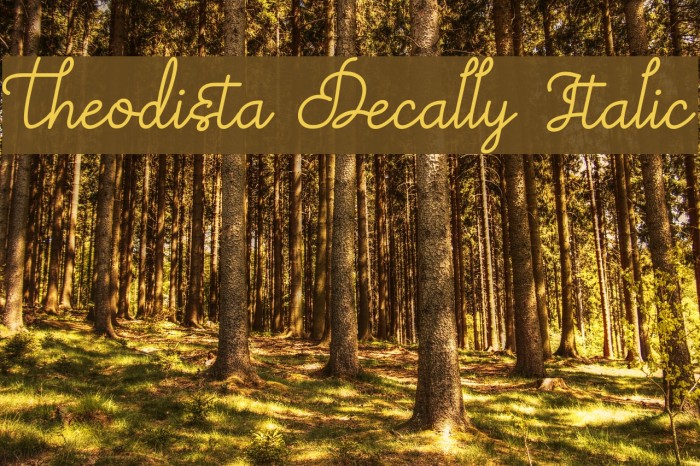 Theodista Decally Italic Font examples