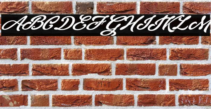 Theodora Personal Use Regular Example 1