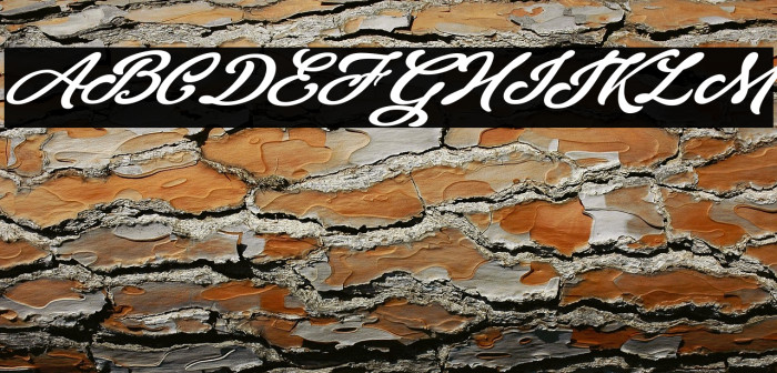 Theodora Personal Use Regular Example 2