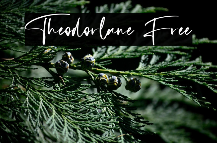 Theodorlane Free Example 3