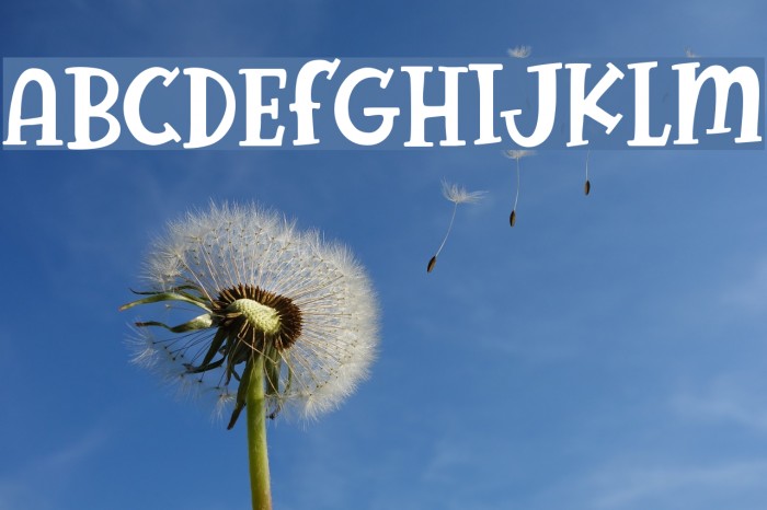 Theola Kids Font examples