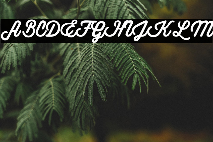 Theon Regular Example 3