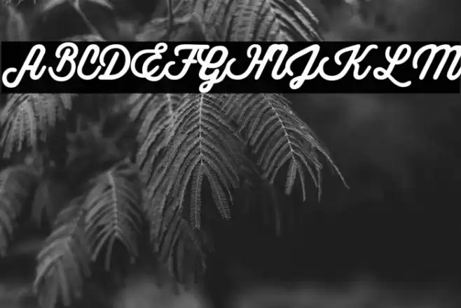 Theon Regular Font examples