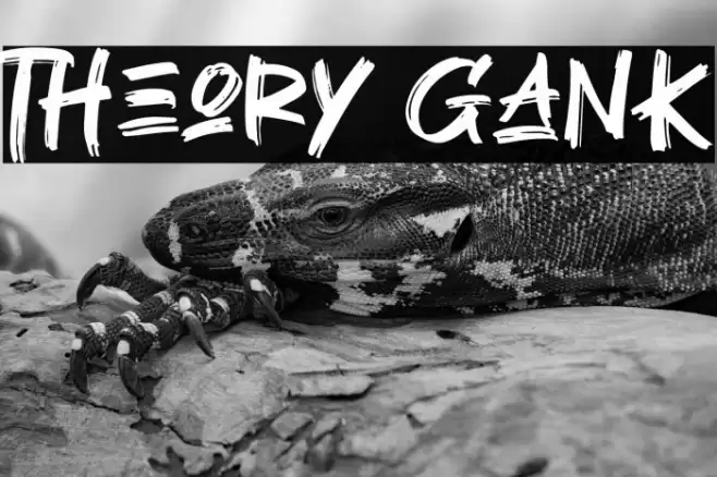 Theory Gank Caratteri examples