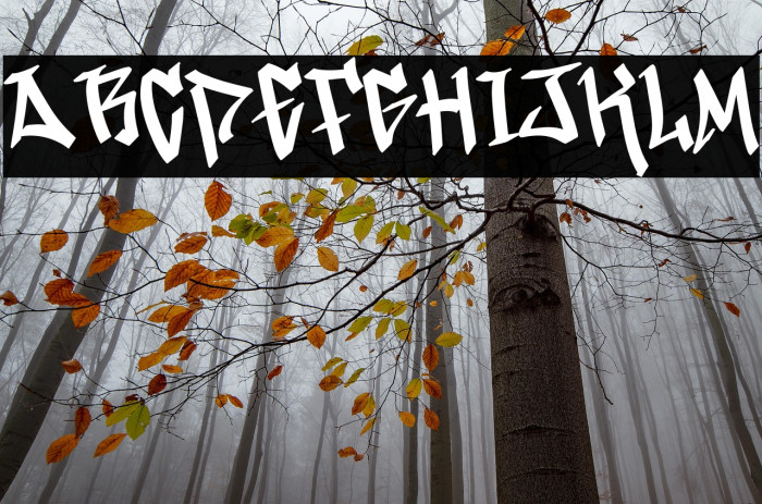 Theory Graffiti Demo Example 1