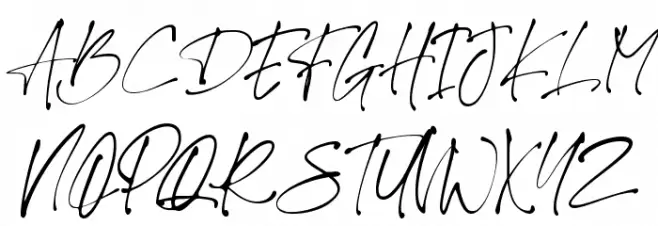 Theory of Signature Schriftart Groß