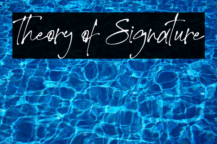 Theory of Signature Example 1