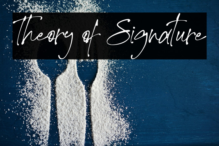 Theory of Signature Example 2