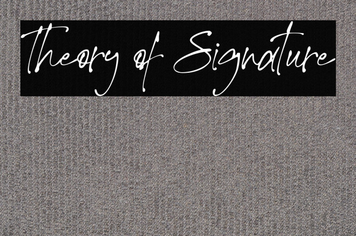 Theory of Signature Example 3