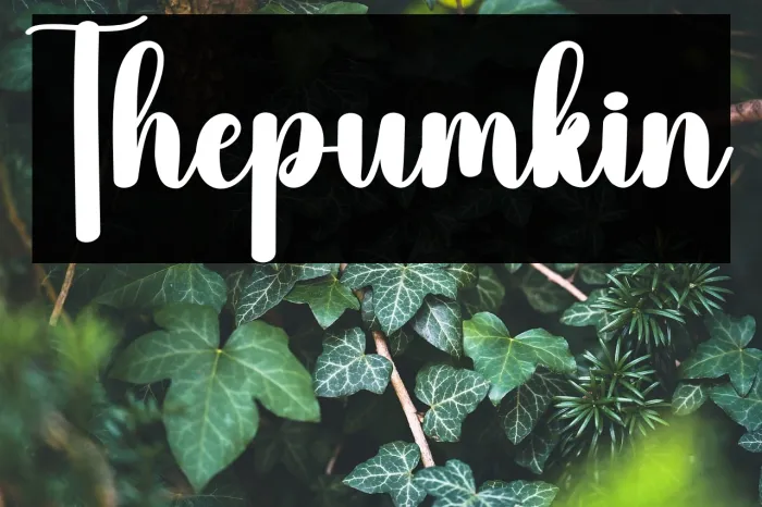 Thepumkin Example 2