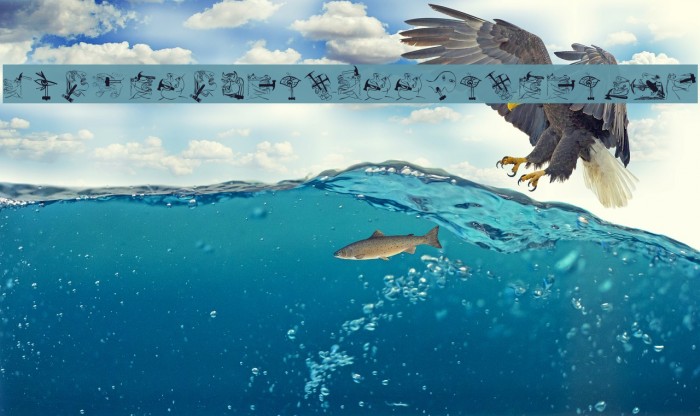 TherapeuticApplications Example 2