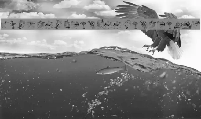 TherapeuticApplications Font examples