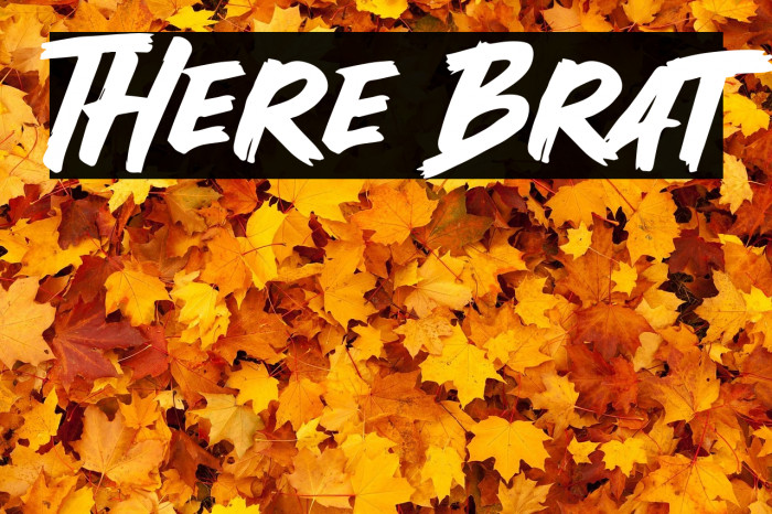 There Brat Example 2