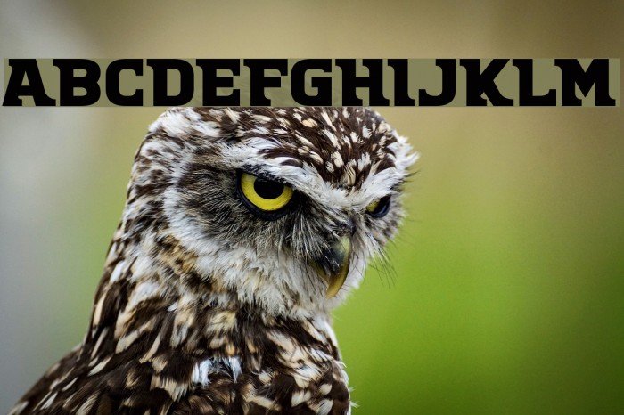 There Must Be Example 2