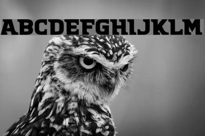 There Must Be Font examples