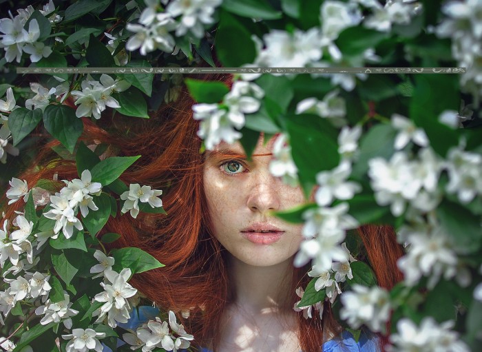 There can only be one Beaver Im it Example 3