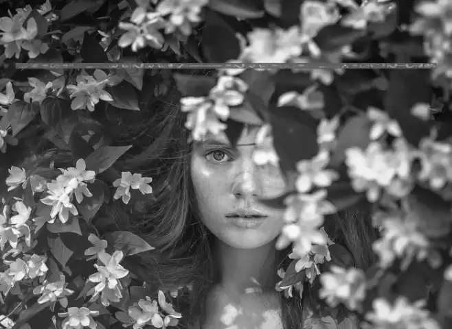 There can only be one Beaver Im it Font examples