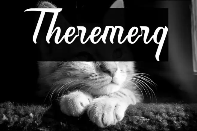 Theremerq Font examples