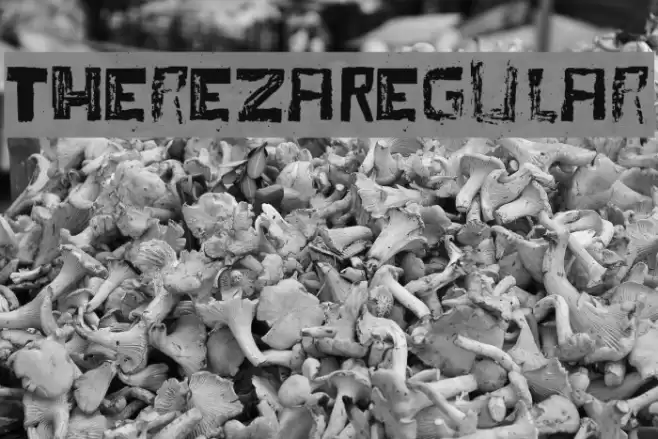 TherezaRegular Font examples