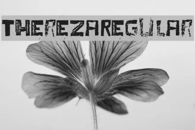 TherezaRegular Font examples