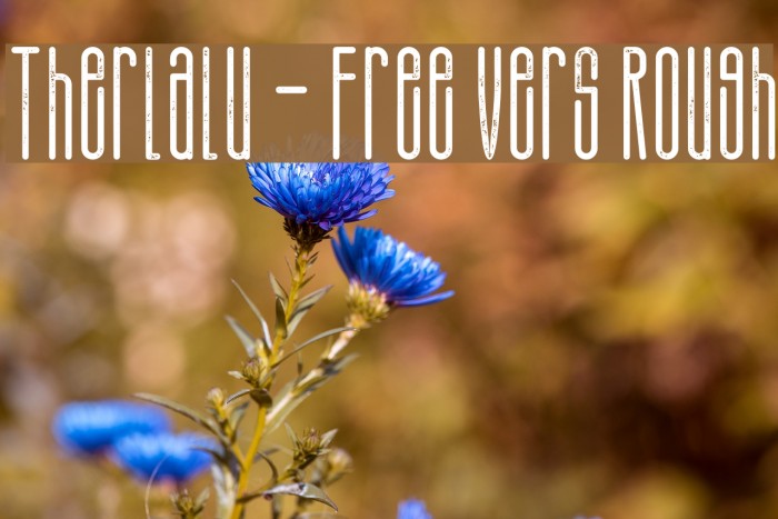 Therlalu - Free Vers Rough Example 1