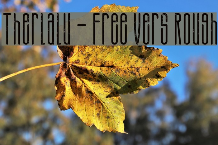 Therlalu - Free Vers Rough Example 3