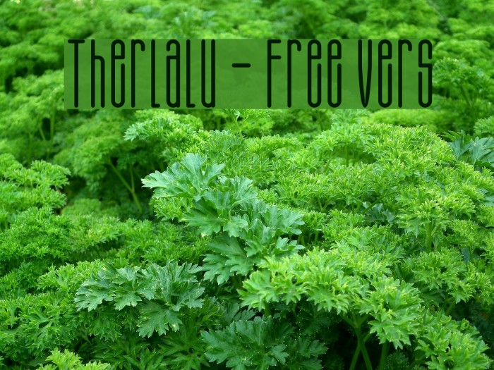 Therlalu - Free Vers Example 1