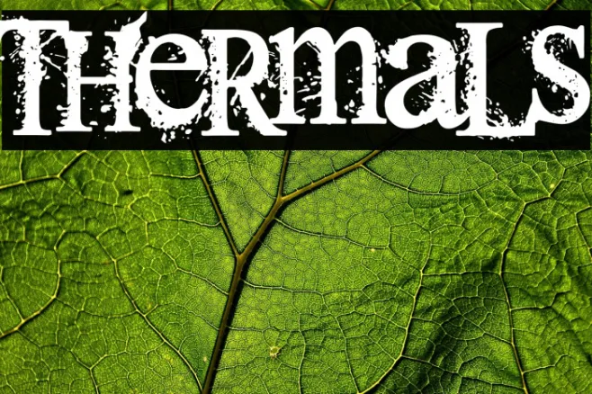 Thermals Example 3