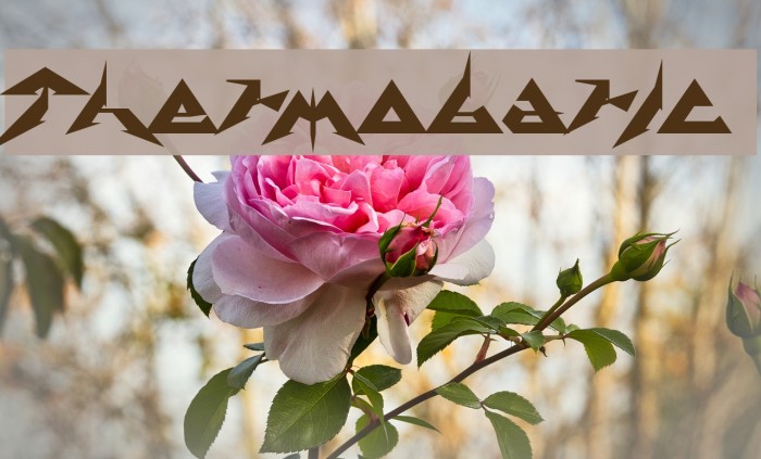 Thermobaric Example 2