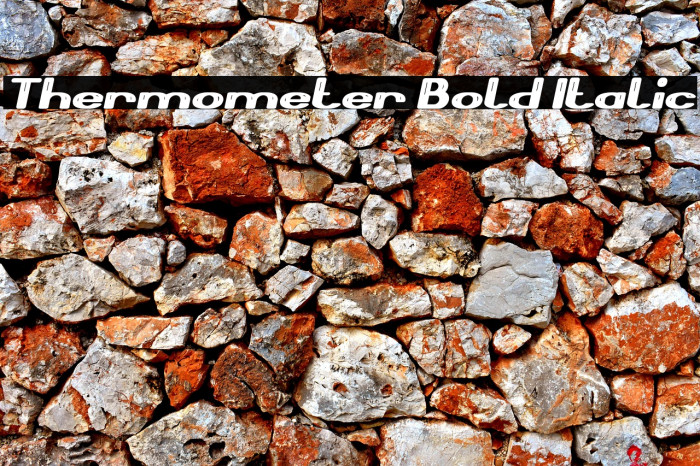 Thermometer Bold Italic Example 2