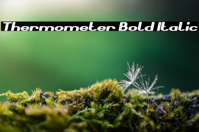 Thermometer Bold Italic Example 3