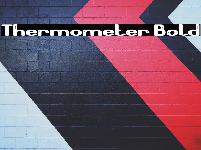 Thermometer Bold Example 1
