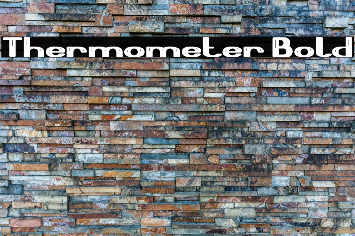Thermometer Bold Example 2