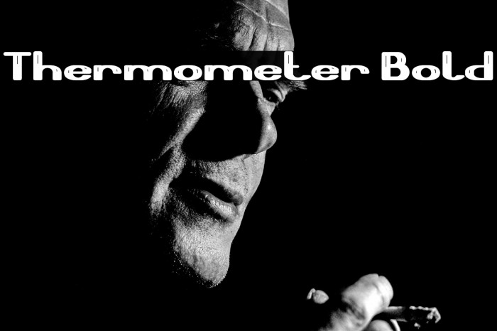 Thermometer Bold Example 3