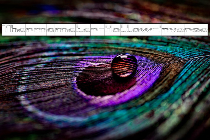 Thermometer-Hollow-Inverse Example 1