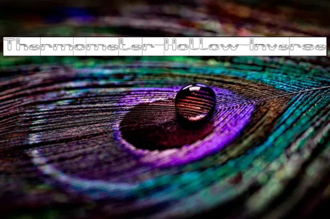 Thermometer-Hollow-Inverse Example 1