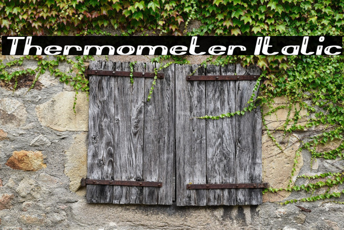 Thermometer Italic Example 1