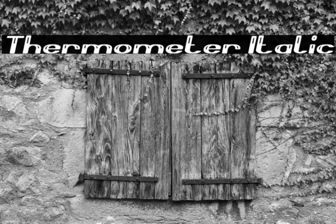 Thermometer Italic Font examples