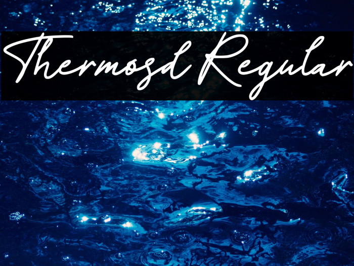 Thermosd Regular Example 1