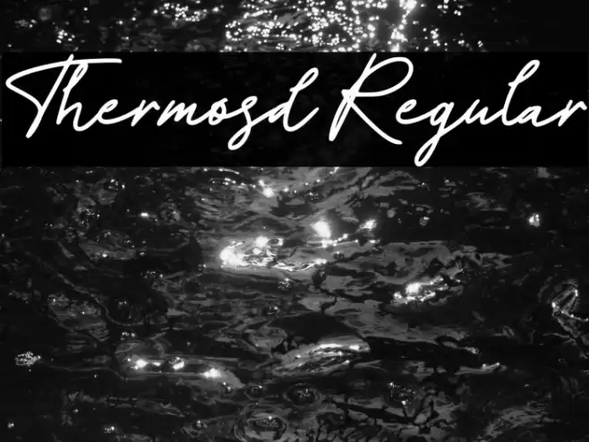 Thermosd Regular Font examples