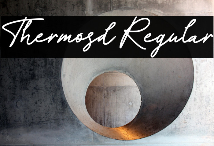 Thermosd Regular Example 2