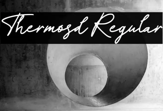 Thermosd Regular Font examples