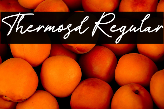 Thermosd Regular Example 3