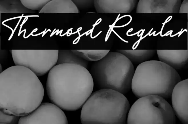 Thermosd Regular Font examples