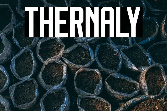 Thernaly Example 1