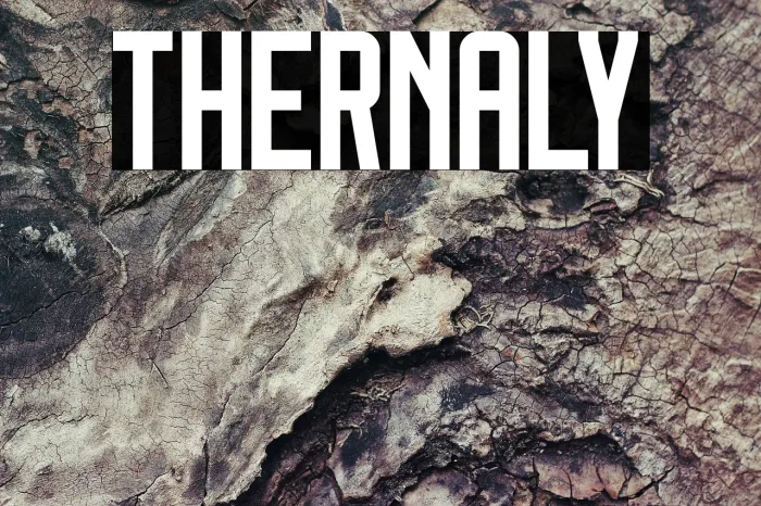 Thernaly Example 2