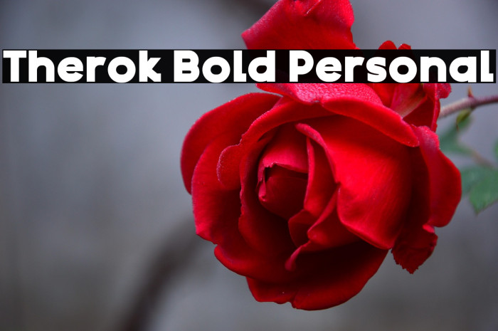 Therok Bold Personal Example 1