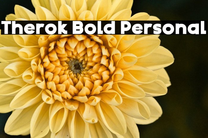 Therok Bold Personal Example 3